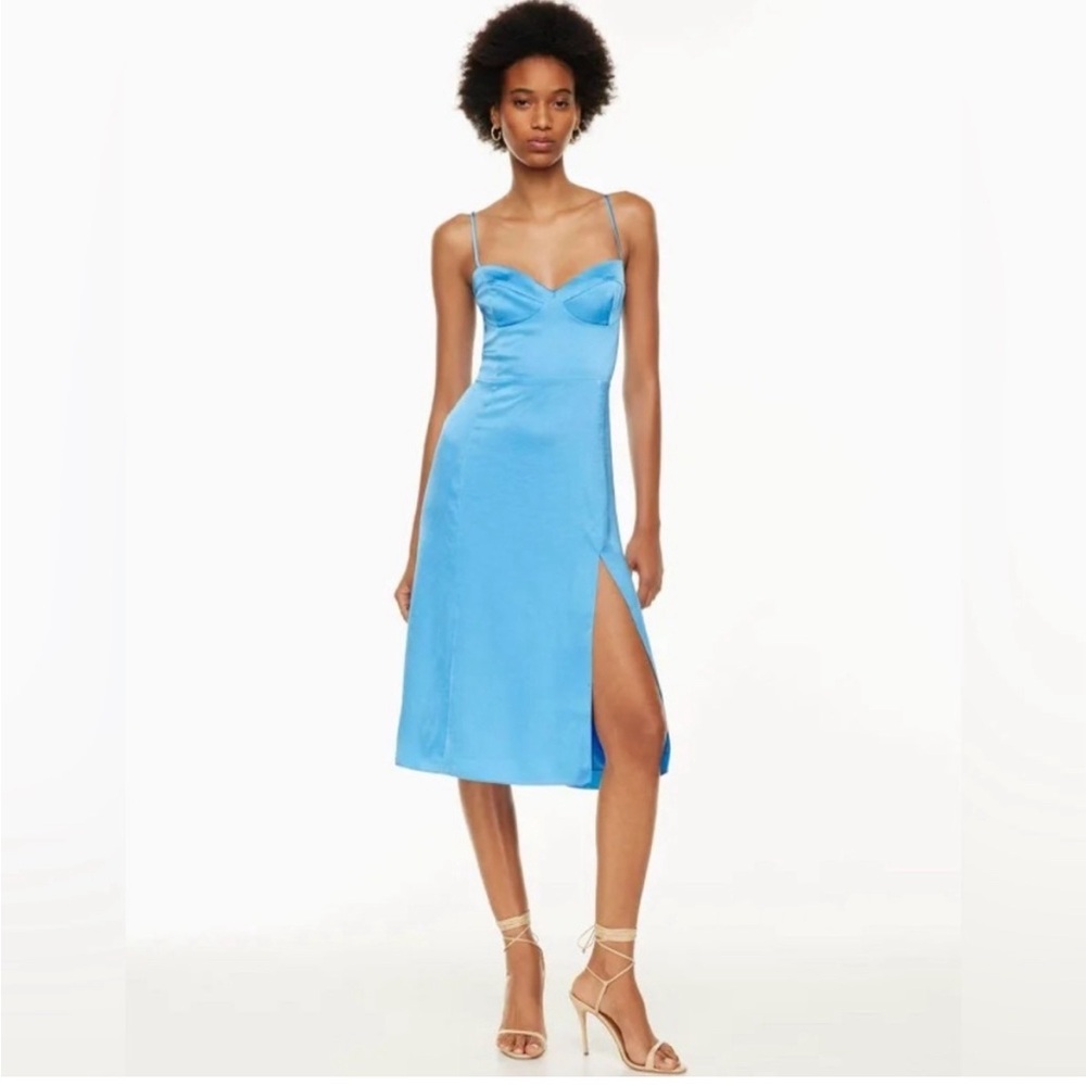 Aritzia Glaze Midi Dress/ Silk Dress